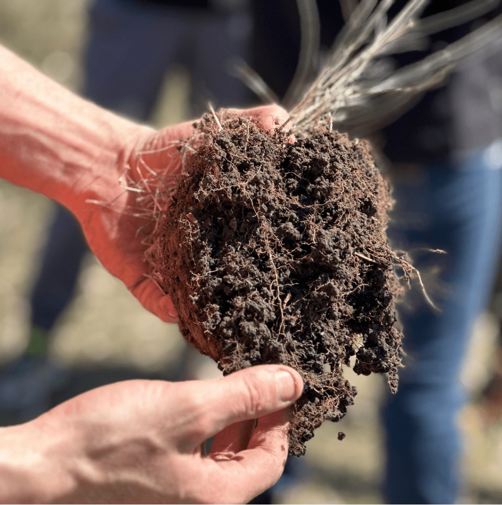Listen to the stories of the soil — What the soil compaction tells us about human relationships with the&nbsp;land