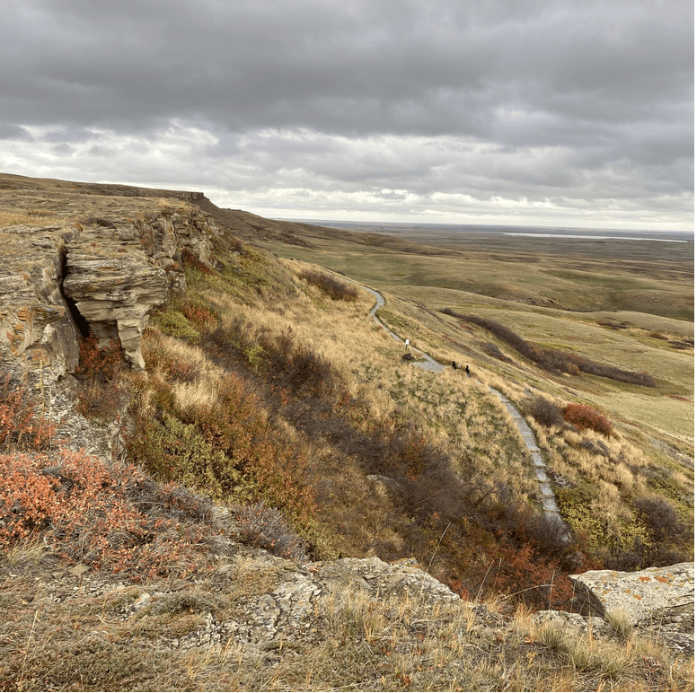 Re-searching the meaning of “land-based learning” with Elder Herman Many&nbsp;Guns