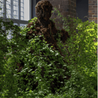 The “weed” within: how we place human morality on plant biology. 